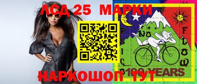 гашик Краснодар