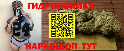 гашик Краснодар