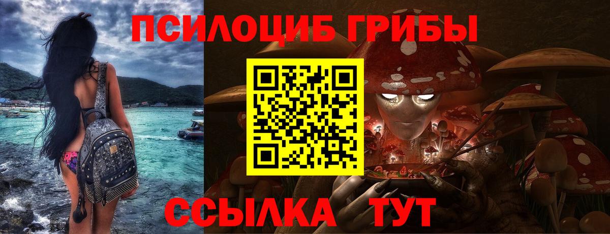 Галлюциногенные грибы Magic Shrooms Кольчугино