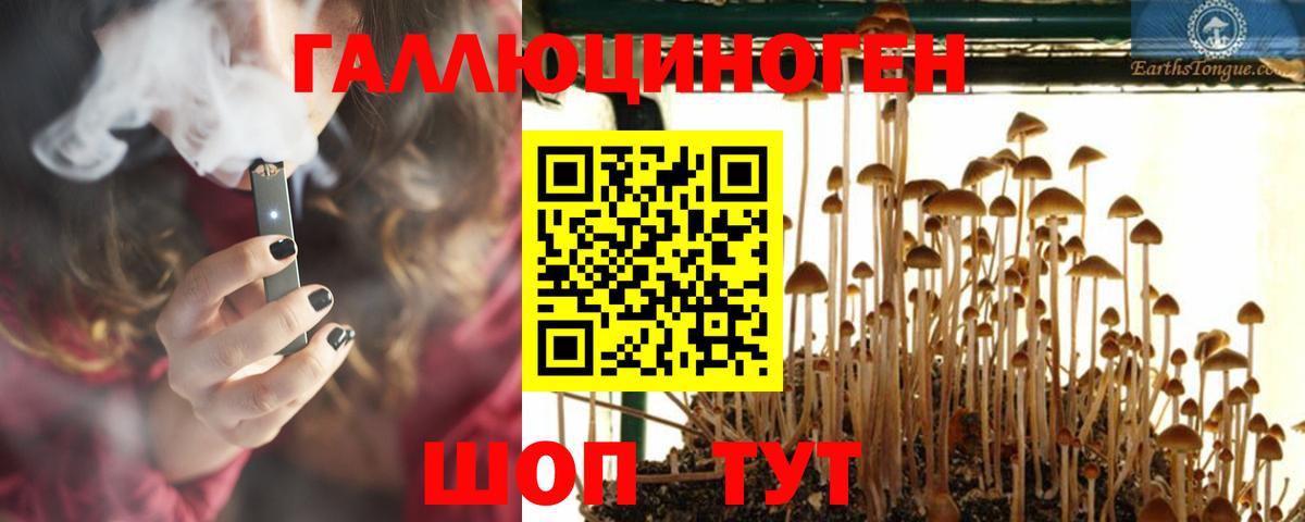 Кольчугино  Галлюциногенные грибы Magic Shrooms  Вход с VPN 